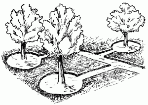 http://www.e-reading.org.ua/illustrations/83/83168-i_004.png