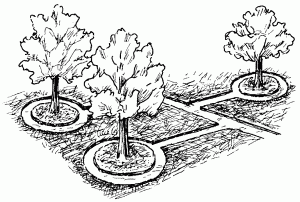 http://www.e-reading.org.ua/illustrations/83/83168-i_005.png