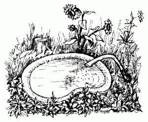 http://www.e-reading.org.ua/illustrations/83/83168-i_007.png
