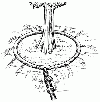 http://www.e-reading.org.ua/illustrations/83/83168-i_033.png