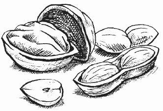 Канарейки