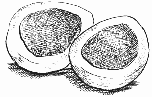 Канарейки