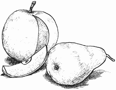 Канарейки