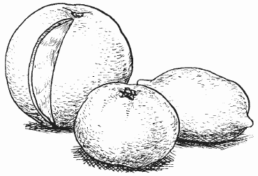 Канарейки