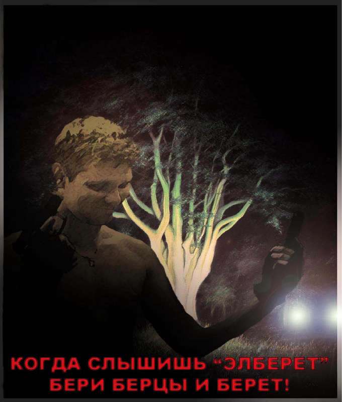 Сказки темного леса