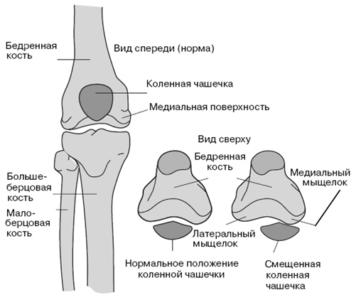 Все о здоровье ваших ног. От младенчества до старости