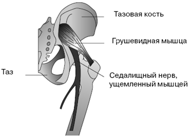 Все о здоровье ваших ног. От младенчества до старости