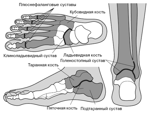 Все о здоровье ваших ног. От младенчества до старости