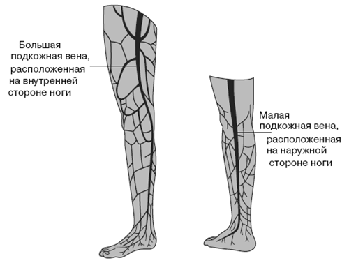 Все о здоровье ваших ног. От младенчества до старости