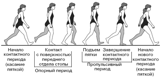 Все о здоровье ваших ног. От младенчества до старости