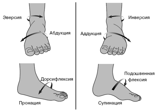 Все о здоровье ваших ног. От младенчества до старости
